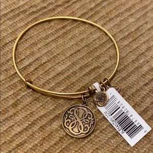 Alex and Ani energy bracelet